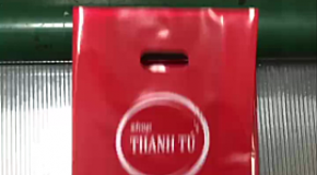 Sáng Tạo Việt – Địa Chỉ In Túi Hột Xoài Độc Đáo