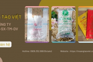 Công ty Sáng Tạo Việt tổ chức trao tặng quà thiện nguyện 3