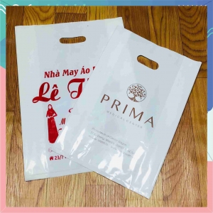 in túi nilon hột xoài bóng dẻo