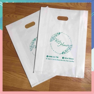 In túi nilon hột xoài theo yêu cầu