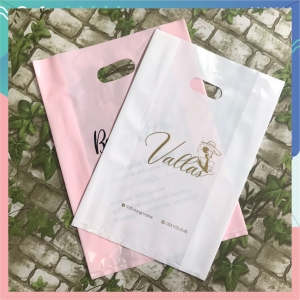 In gia công túi hột xoài