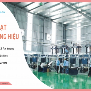 Giới thiệu về công ty