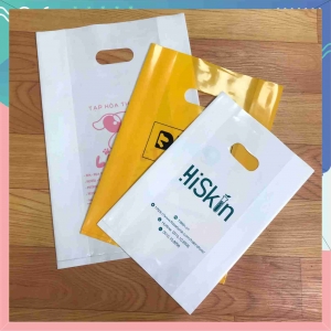 In túi nilon hột xoài thời trang cao cấp