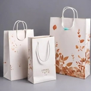 In túi giấy tại Bình Chánh