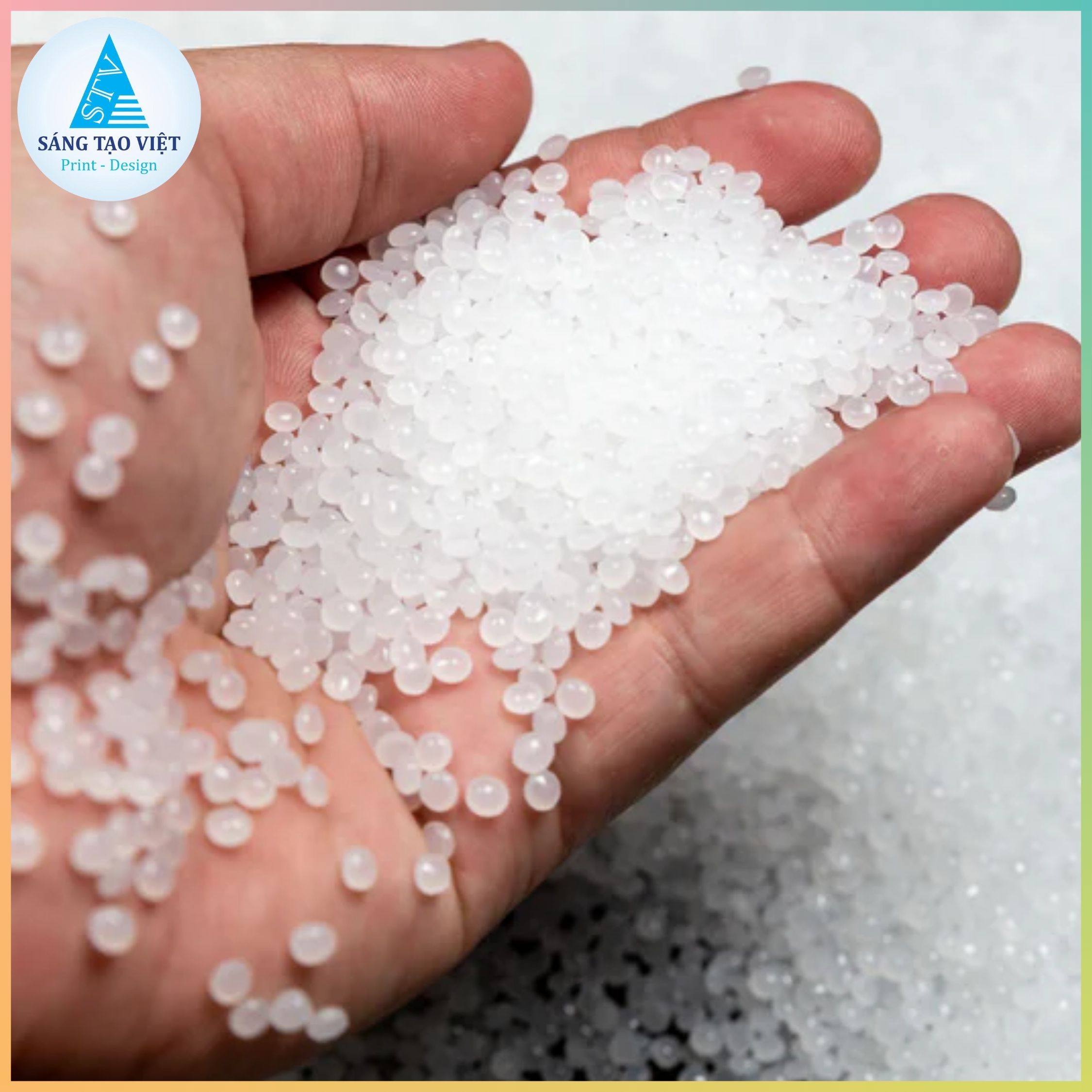 HDPE, LDPE, PP, PE khác nhau như thế nào? Cách phân biệt và ứng dụng từng loại